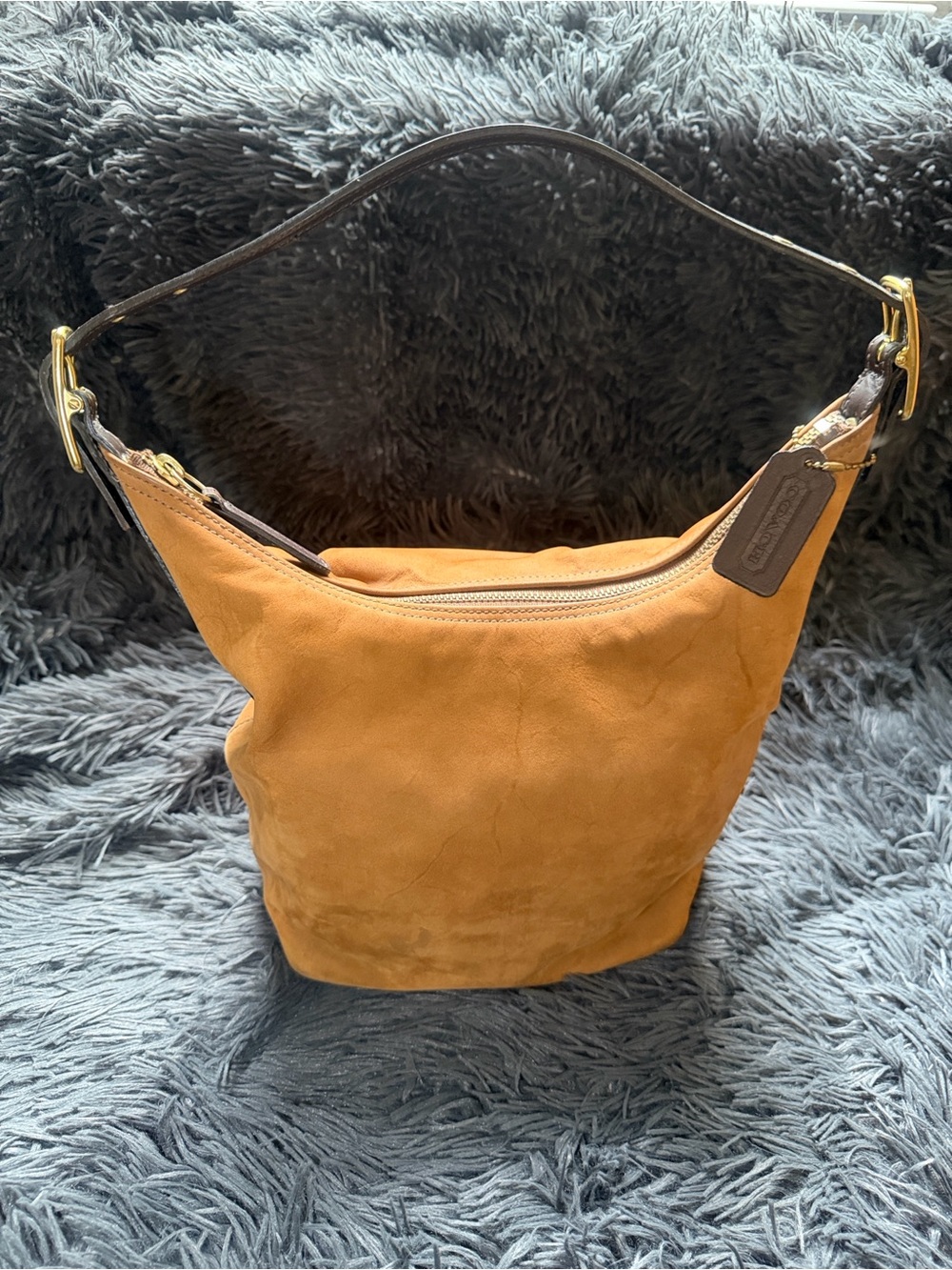 Y2K Coach Legacy Hobo Bag